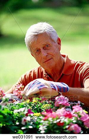 contemporary, day, flower View Large Photo Image Stock Image - contemporary, day, flower. Fotosearch