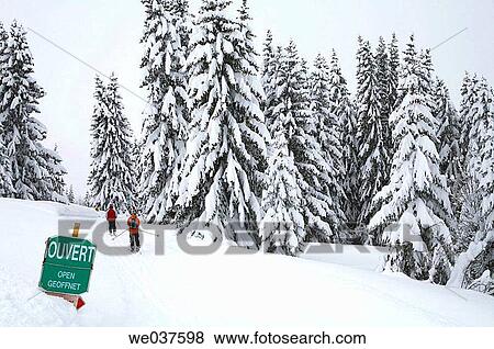 contemporary, Fir, day, covered, activity View Large Photo Image Stock Photo - contemporary, Fir, day, covered, activity. Fotosearch