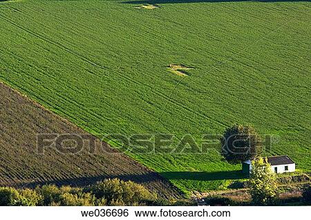 Country landscape near Almodovar del Rio. Cordoba province, Andalusia, Spain View Large Photo Image Stock Photograph - Country landscape near Almodovar del Rio. Cordoba province, Andalusia, Spain. Fotosearch