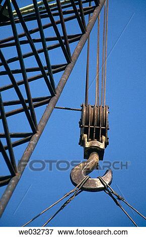 Stock Photo - Crane. Mexico. Fotosearch