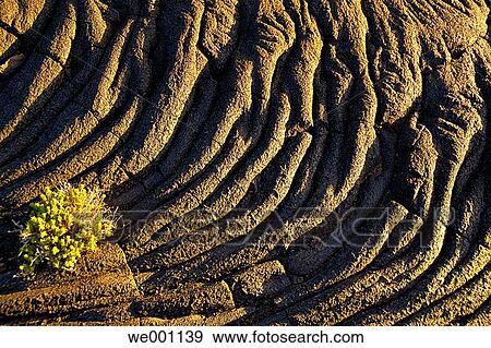 Dried lava. El Lajial. El Hierro. Canary islands. Spain. View Large Photo Image Stock Photo - Dried lava. El Lajial. El Hierro. Canary islands. Spain.. Fotosearch