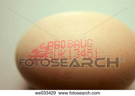 Egg with expiry date View Large Photo Image Stock Photo - Egg with expiry date. Fotosearch