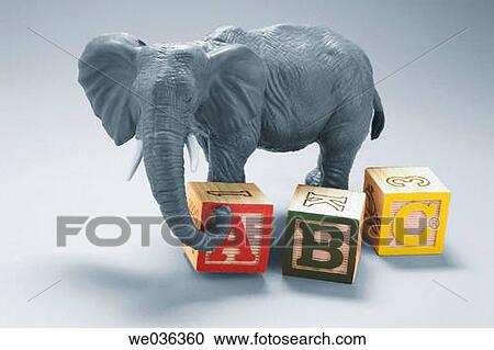 Elephant figurine and learning cubes View Large Photo Image Stock Image - Elephant figurine and learning cubes. Fotosearch