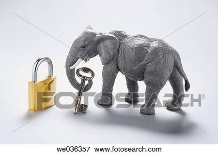 Elephant figurine with key and lock View Large Photo Image Stock Photo - Elephant figurine with key and lock. Fotosearch