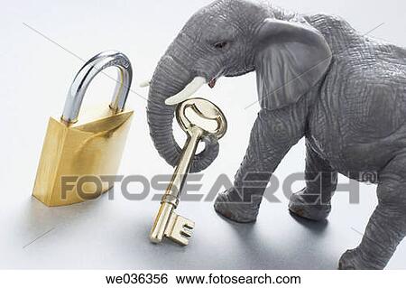 Elephant figurine with key and lock View Large Photo Image Stock Photograph - Elephant figurine with key and lock. Fotosearch