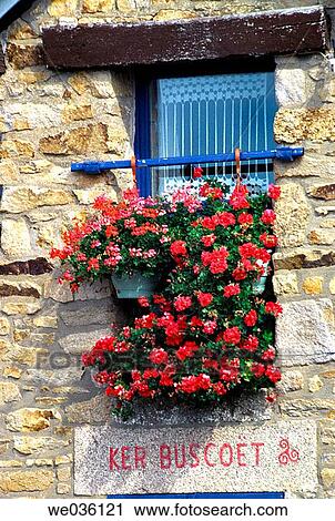 Fa? ade of typical house. Rhuys, Brittany, France View Large Photo Image Stock Image - Fa? ade of typical house. Rhuys, Brittany, France. Fotosearch