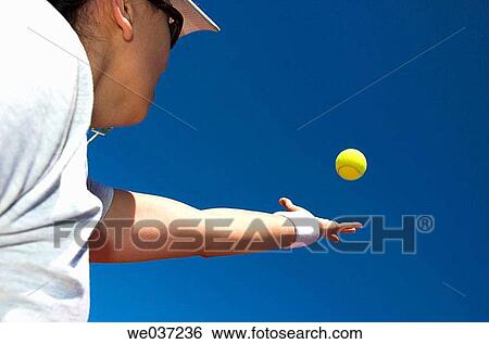 Female tennis player tosses ball into air to serve View Large Photo Image Stock Photograph - Female tennis player tosses ball into air to serve. Fotosearch