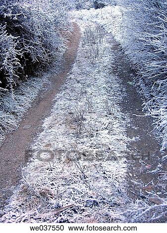 Frozen path View Large Photo Image Stock Image - Frozen path. Fotosearch