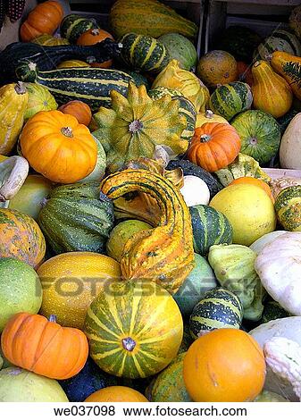Gourds for sale at fair. Fira de Santa Ll·cia, Barcelona, Catalonia, Spain View Large Photo Image Stock Photo - Gourds for sale at fair. Fira de Santa Ll·cia, Barcelona, Catalonia, Spain. Fotosearch