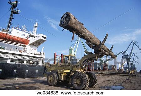 Stock Photography - Import of timber, Kandla. Kutch, Gujarat, India. Fotosearch