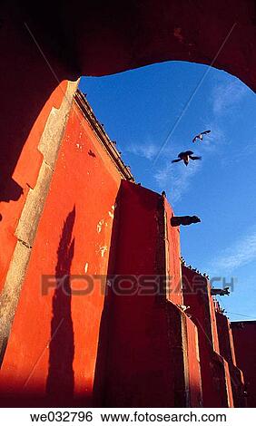 Irapuato. Guanajuato, Mexico View Large Photo Image Stock Photograph - Irapuato. Guanajuato, Mexico. Fotosearch