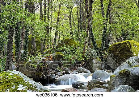 Jerte river valley. Cßceres province, Extremadura, Spain View Large Photo Image Stock Photograph - Jerte river valley. Cßceres province, Extremadura, Spain. Fotosearch