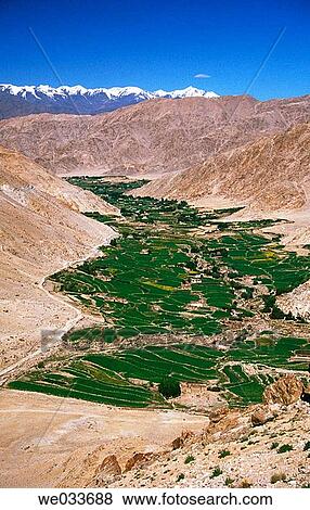 Stock Photo - Landscape. Shakti village. Ladakh, Jannu and Kashmir. India.. Fotosearch