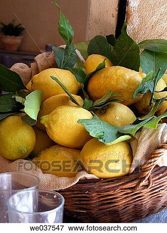 Lemons in basket View Large Photo Image Stock Photo - Lemons in basket. Fotosearch