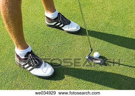Male golfer putting on golf green View Large Photo Image Stock Photo - Male golfer putting on golf green. Fotosearch
