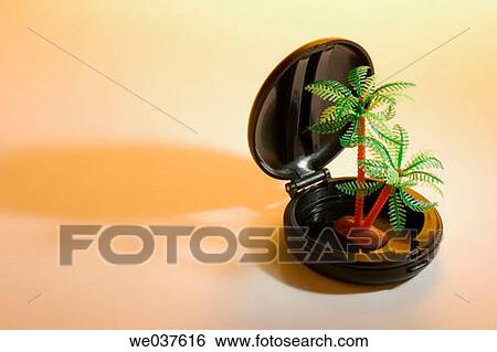 Miniature palm tree in compact case View Large Photo Image Stock Photograph - Miniature palm tree in compact case. Fotosearch