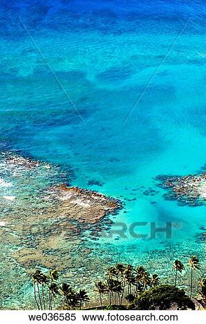 Ocean reef, Hawaii. USA View Large Photo Image Stock Photography - Ocean reef, Hawaii. USA. Fotosearch