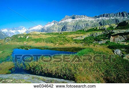 Panorama-strasse-road Oberaar, Berner Alpen. Barnies Alps. Grimselpass 2164m. Switzerland. View Large Photo Image Stock Image - Panorama-strasse-road Oberaar, Berner Alpen. Barnies Alps. Grimselpass 2164m. Switzerland.. Fotosearch