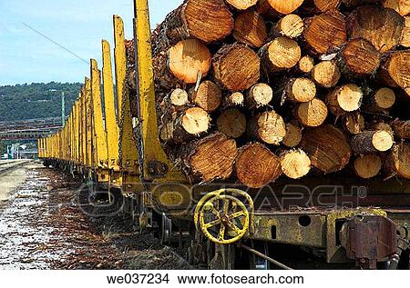 Plantation logs on the move. View Large Photo Image Picture - Plantation logs on the move.. Fotosearch