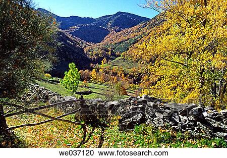 Rabanal de Arriba countryside in autumn. Alto Sil, Le? n province, Castilla-Le? n, Spain View Large Photo Image Stock Image - Rabanal de Arriba countryside in autumn. Alto Sil, Le? n province, Castilla-Le? n, Spain. Fotosearch
