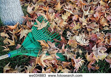 Rake and leaves View Large Photo Image Stock Image - Rake and leaves. Fotosearch