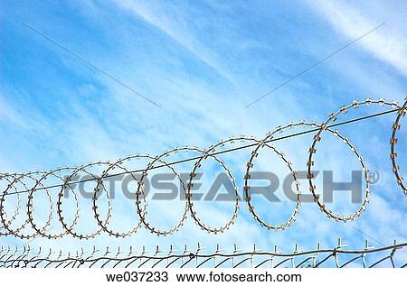 Razor Wire View Large Photo Image Stock Image - Razor Wire. Fotosearch