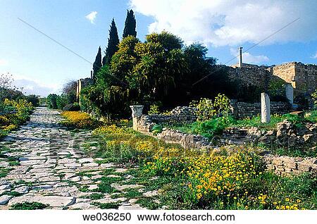 Roman ruins of Carthage. Tunisia View Large Photo Image Stock Image - Roman ruins of Carthage. Tunisia. Fotosearch