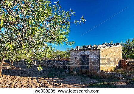 Stock Photography - Rural landscape, Baix Pened? s. Tarragona province, Catalonia, Spain. Fotosearch