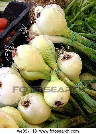 Shallots for sale at market. El Olivar, Palma de Mallorca. Majorca, Balearic Islands, Spain View Large Photo Image Stock Photo - Shallots for sale at market. El Olivar, Palma de Mallorca. Majorca, Balearic Islands, Spain. Fotosearch