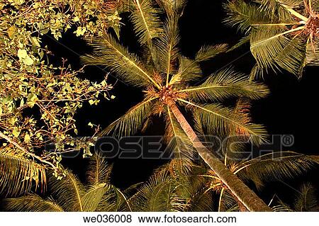 Stock Photo - Singapore's Sentosa Island. Fotosearch