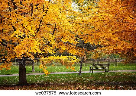St. James Park, London. England. UK View Large Photo Image Stock Photography - St. James Park, London. England. UK. Fotosearch