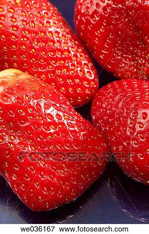 Strawberries View Large Photo Image Stock Photo - Strawberries. Fotosearch