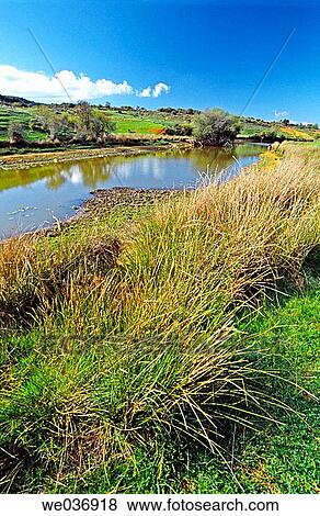 Sumido Lake. Roman goldmines of Las M? dulas. Ponferrada. Leon province. Castilla y Le? n. Spain. View Large Photo Image Stock Photo - Sumido Lake. Roman goldmines of Las M? dulas. Ponferrada. Leon province. Castilla y Le? n. Spain.. Fotosearch