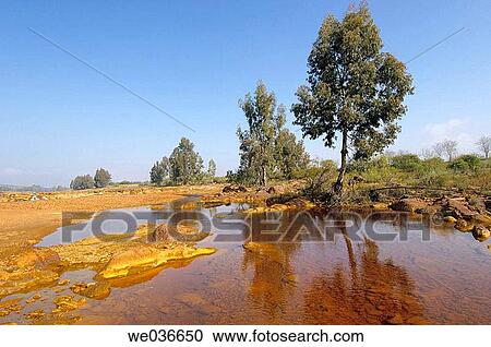 Tinto river. Huelva province, Andalusia, Spain View Large Photo Image Stock Image - Tinto river. Huelva province, Andalusia, Spain. Fotosearch