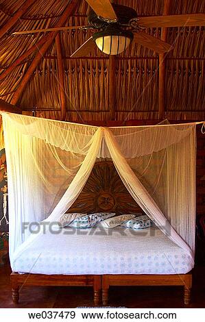 Troncones. Mexico. View Large Photo Image Stock Photo - Troncones. Mexico.. Fotosearch