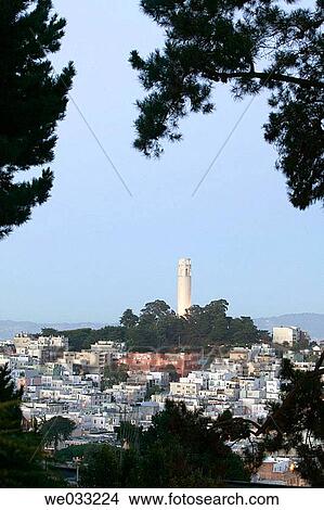 View of Coit Tower, San Francisco. California, USA View Large Photo Image Picture - View of Coit Tower, San Francisco. California, USA. Fotosearch