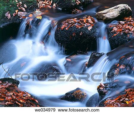 Waterfall, Sutovska dell, Slovakia View Large Photo Image Stock Photo - Waterfall, Sutovska dell, Slovakia. Fotosearch