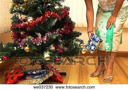 Woman placing a gift under Christmas tree. View Large Photo Image Stock Image - Woman placing a gift under Christmas tree.. Fotosearch
