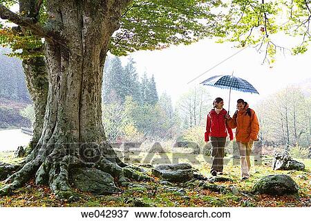 Stock Photo - 30's, autumn, 20's. Fotosearch