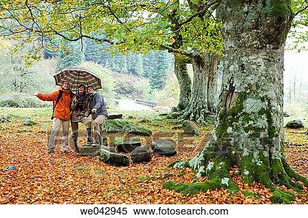 30's, autumn, 20's View Large Photo Image Stock Photography - 30's, autumn, 20's. Fotosearch