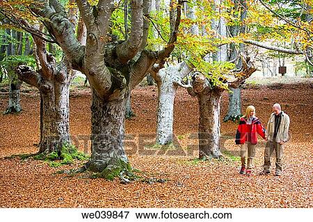 30's, bond, autumn, 20's View Large Photo Image Stock Photo - 30's, bond, autumn, 20's. Fotosearch