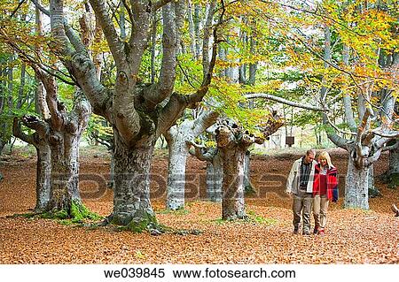 30's, bond, autumn, 20's View Large Photo Image Stock Photography - 30's, bond, autumn, 20's. Fotosearch