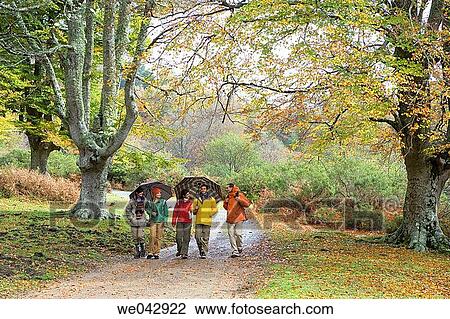 30's, calm, autumn, 20's View Large Photo Image Stock Image - 30's, calm, autumn, 20's. Fotosearch