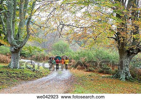 30's, calm, autumn, 20's View Large Photo Image Stock Image - 30's, calm, autumn, 20's. Fotosearch