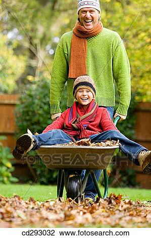 amusement, boy, barrow, autumn, 30's View Large Photo Image Stock Image - amusement, boy, barrow, autumn, 30's. Fotosearch