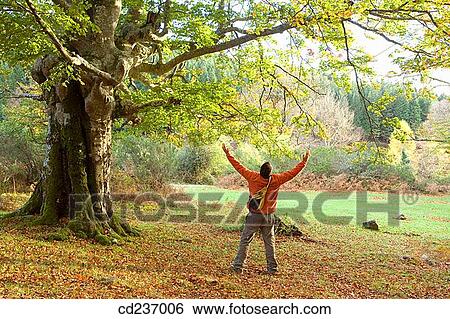 Arms raised, back view, autumn, Arms open View Large Photo Image Stock Photograph - Arms raised, back view, autumn, Arms open. Fotosearch