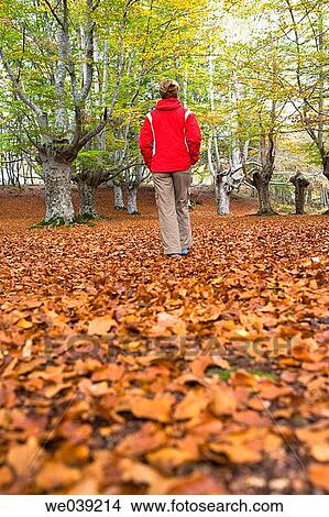 Picture - autumn, back view, anorak. Fotosearch