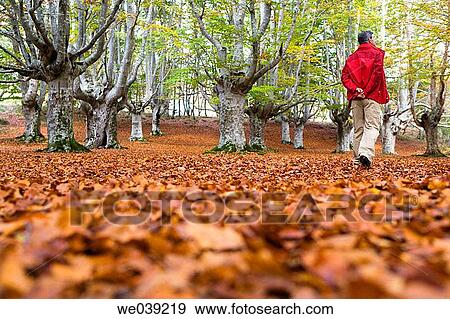 autumn, back view, baby boomer, anorak View Large Photo Image Stock Photo - autumn, back view, baby boomer, anorak. Fotosearch