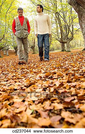 Picture - autumn, calm, 30's. Fotosearch