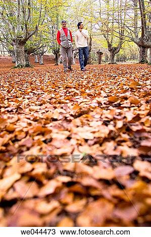 autumn, calm, 30's View Large Photo Image Stock Image - autumn, calm, 30's. Fotosearch